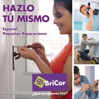 Portada Folleto Bricor Bis