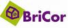 Logo catalogo BriCor A Aniversaria